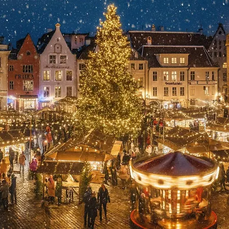 Old Town 74m2 Newly Renovated Lux Furnished Daire Tallinn